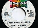 DONALD JENKINS - A NEW WORLD BEAUTIFUL/ FIGHTING FOR MY BABY - SOUL 45