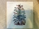 Joan Of Arc Presents Pine Cone by Tim Kinsella LP Vinyl NEW 2012 Ltd Ed OOP rare