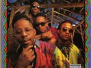 Brand Nubian **One for All (30th Anniversary) NEW COLORED RECORD LP VINYL 7 INCH