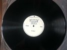 Roger Waters (Pink Floyd) - Fantasy Palace 1989 Radio Show Transcription NM/NM