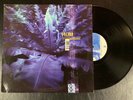 HUM downward is heavenward FIRST PRESSING ON BLACK VINYL LP 1997 failure SHINER