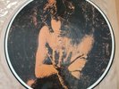 The Doors Sehr Seltene Picture Disc Vinyl Lp