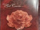 The Spill Canvas - Sunsets & Car Crashes LP (Pink In Clear w/ Maroon Splatter)