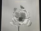 THE NAKED AND FAMOUS In Rolling Waves 180g 2LP New Vinyl