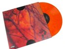 IN HAND Rare Schoolboy Q - Blank Face 2LP Orange Vinyl NEW & SEALED Kanye