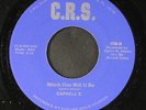 CAPRELL'S: every day people / which one will it be C.R.S. 7