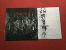 Lp X Mal Deutschland: Fetisch, Krautrock
