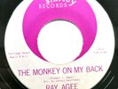 Ray Agee - The Monkey On My Back - Blues R n B 45 - Shirley Records