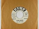 Blues Rocker Inst. 45 - Wild Jimmy Spurill - Hard Grind - Fire - mp3