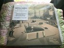 Hippo Campus Landmark + Bambi Vinyl Bundle Color Vinyl Electric Fetus Exclusive