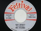 R&B Rocker 45 - Cyclones - Say What? - Festival - VG+ mp3