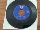 Rare Just A Little Bit If Soul 45 VG The a Go-Gos
