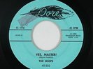 Novely Exotica Inst. 45 - The Whips - Yes, Master  - Dore - mp3