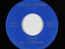 Private Soft Rock 45 - Will & James Ragar - Forever - No Mountain - VG+ mp3