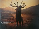 Kosheen - Resist (2xLP, Album, Gat) - 2001 - Arista, BMG Entertainment Internati