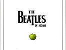 The Beatles in Mono Vinyl Box nagelneu