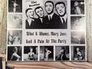 the beatles what a shame, mary Jane had a pain at the party vinyl record vg+++