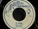 1962 THE ASCOTS PERFECT LOVE PRODUCED BY PAUL BUFF 