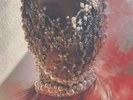 Lingua Ignota Sinner Get Ready 2x Vinyl LP Record 2021 caligula follow up NEW
