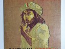 BOB MARLEY & THE WAILERS - 'Rastaman Vibration' 12