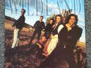 WILDLAND - IN THIS LIFETIME - ORIGINAL 1990 VINYL LP - MINT / NEVER PLAYED