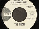 BUSH: i'm wanting her / who killed the ice cream man?  HIBACK 7