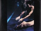 SIOUXSIE & BANSHEES: the scream POLYDOR 12