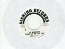 THE BEEFEATERS ( THE BYRDS) - PLEASE LET ME LOVE YOU - PROMO ELEKTRA 45 - RARE