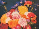 The Teardrop Explodes - Wilder - 180g Vinyl LP