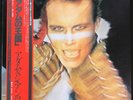 ADAM AND THE ANTS - Kings of the - Vinyl LP Record - Japan - OBI, Insert, Pop