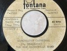 RATE ACETATE New Vaudeville Band WINCHESTER CATHEDRAL 1966 Promo MASTER #1-38783
