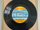 Frankie Valli & The Four Seasons The Night Error pressing No Label MINT
