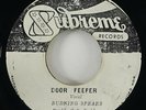 Burning Spear/Brentford All Stars 