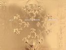 Jay-Z And Kanye West Watch The Thorne 2 LP PICTURE DISC Explicit Sigillato