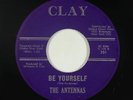 Northern Soul/Doo-Wop R&B 45 - Antennas - Be Yourself/Fuji-Yama Mama - Clay mp3