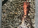 Siouxsie And The Banshees - Juju LP PVC 8903 USA 1981 Vinyl Record