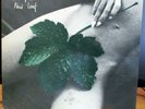 Lp:East Of Eden: New Leaf,Original 1.Pressung in m-/m-