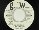 Northern Soul 45 - Tamiko Jones - I'm Spellbound - Golden World - mp3