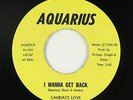 Sweet Soul 45 - Candace Love - I Wanna Get Back - Aquarius - VG+ mp3