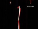 STEELY DAN Aja Vinyl Record Album LP MCA Pop Rock Donald Fagen And Walter Becker
