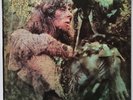 John Mayall - Blues From Laurel Canyon - 1968 - Vinyl Record LP Gatefold