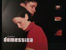 Cursive's Domestica by Cursive (Record, 2003)- Red Translucent