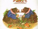 MATCHING MOLE Matching Mole LP VINYL UK Cbs 8 Track Red Label Nice Price Reissue