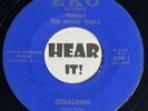 Boss NC Garage Rocker / Instro 45 THE NIGHT OWLS Geraldine / Thats EKO rare hear