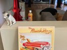 BEACH BOYS 
