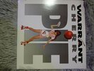 warrant cherry pie vinyl