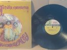 JIMI HENDRIX-ARE YOU EXPERIENCED LP REPRISE 6261 Tri Color Label