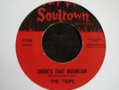 THE TRIPS - There's That Mountain c/w Love Can't Be Modernized - Listen