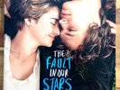 The Fault in Our Stars Soundtrack OST Vinyl LP