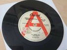 The Beach Boys All Summer Long Do You Wanna Dance Promo 7 Inch Demo CL15384
